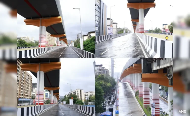 Mumbai’s 1st Double-Decker Flyover With Metro Viaduct Open For Public